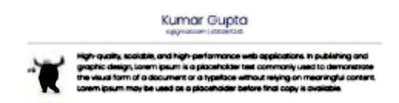 bio data format