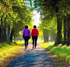 The Benefits of Walking