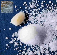 How salt comes in sea ?