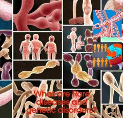What are Rare diseases and genetic disorders ?