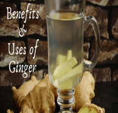 Benefits And Uses Of Ginger