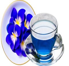 Discovering the Enchantments of Butterfly Pea Flower Tea: An Extensive Exploration of its Advantages and Beyond