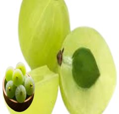 Properties, benefits and uses of eating Amla