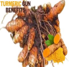 Properties, benefits and uses of turmeric