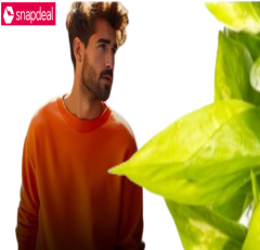 Why Snapdeal Stands Out as India's Premier Shopping Destination?