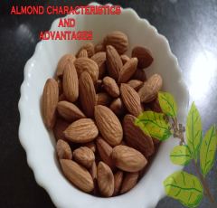 Almond characteristics and advantages for heath benefits