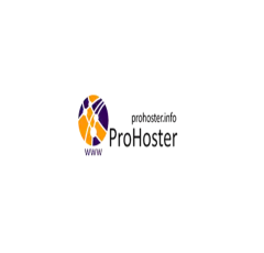 Discover ProHoster: The All-in-One Hosting Solution for Seamless Online Projects